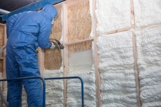 Best Wall Insulation Installation in USA